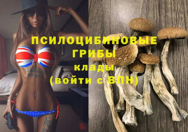 марихуана Инта